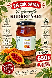 370 cc zeytinyağlı kudretnarı kargo bedava sınırlı sayıda !